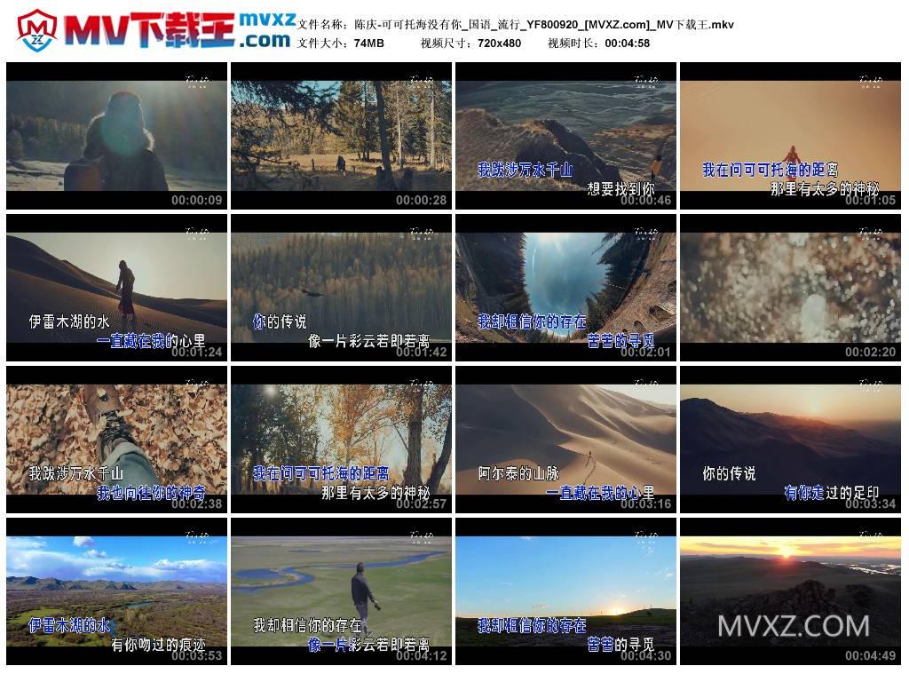 陈庆-可可托海没有你_国语_流行_YF800920